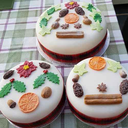 Pine Nut Chocolate Molds, Christmas Pinecone Holly Leaf Silicone Molds, Lemon Slices Spices Star Anise Cinnamon Fondant Molds for Cake Decoration Dessert Plaster Clay Resin Set of 4