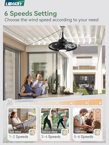 Outdoor 20-Inch Waterproof Ceiling Fan with Lights - Black, Remote, Dimmable LED