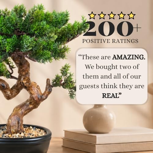 Permaplants Cypress Artificial Bonsai Tree 16" - Realistic Fake Plant for Home Office Decor