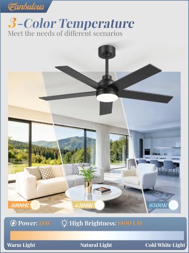 Large Ceiling Fan with Lights - 48 Inch Black Remote-Controlled Modern Fan