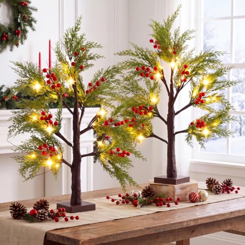 Baquler 2 Pcs Christmas Lighted Birch Trees 24 in – Red Berry Decor (Birch Variant)