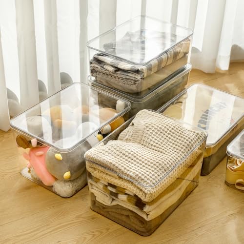 4-Piece Set,Plastic Clear Storage Bin with Lid,Large
