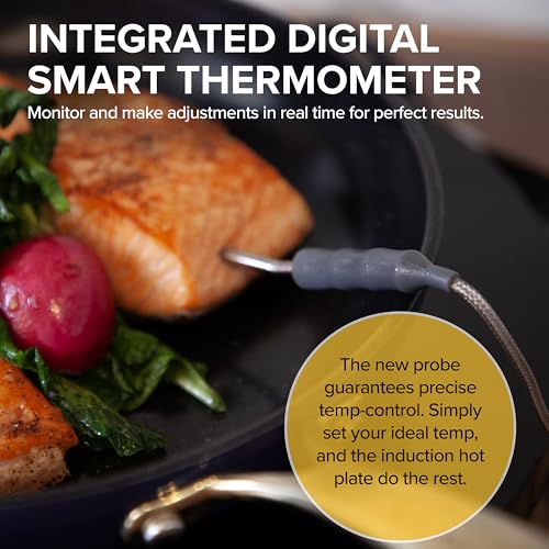 Induction Cooktop with Precise Temperature Control and Probe - Portable Electric Burner