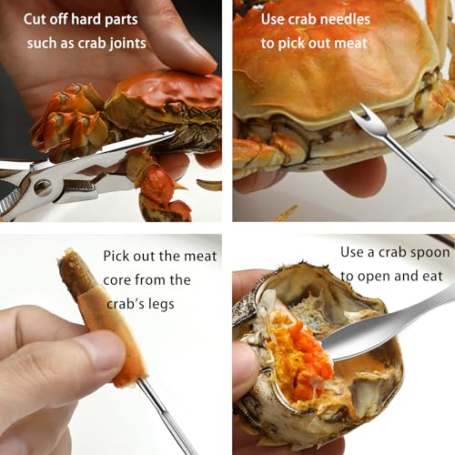 Nut Cracker 2-Pack Stainless Steel with Non-Slip Handle - Red, Multi-Purpose for Nuts & Shellfish (GZLT)