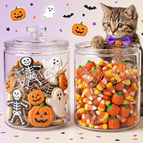 1 Gallon Glass Cookie Jar with Airtight Lid - Food Storage for Sourdough & Baking - Variation of THIS listing