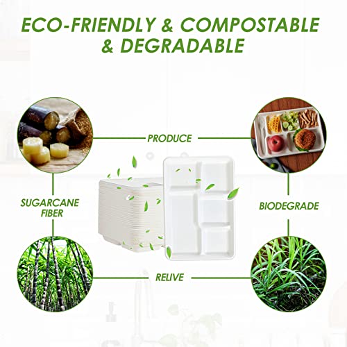Compostable 5-Compartment Paper Plates 100 Pack Eco-Friendly Disposable Dinnerware