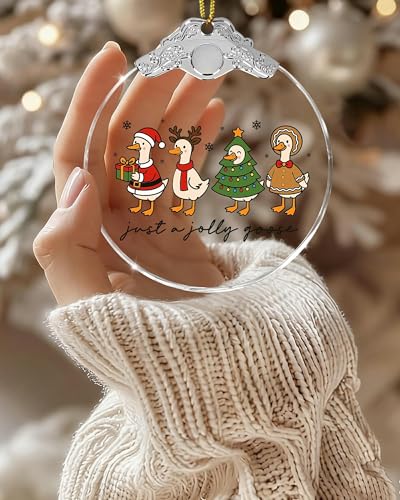 Mvxopqu Funny Goose Ornament 2025 for Christmas Tree - Duck Keepsake Gift for Goose Lovers, Women & Girls, One Size
