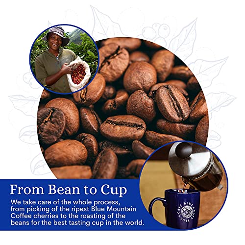 Jamaica Blue Mountain Coffee Beans - 16 oz, JACRA Certified, Medium Roast, Smooth & Low Acid