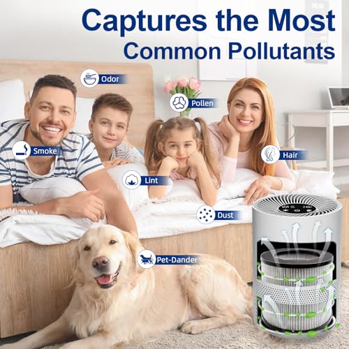 4 Pack Replacement Air Filters for Bissell MYair Personal Air Purifier 2780A | ADDFRESH
