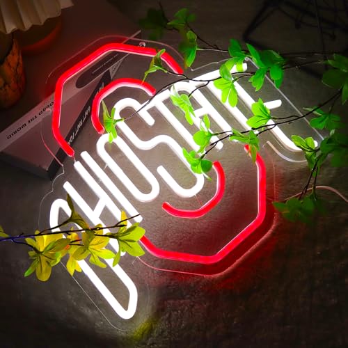OIZEGO Red Football Neon Sign for Bedroom, Dorm, Man Cave, 13.4x12.2 in, USB Powered