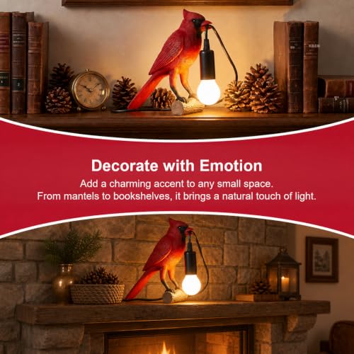 OVANUS Red Cardinal Lamp - Dimmable Night Light for Bird Lovers, Safe & Durable