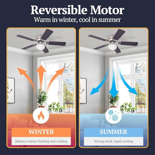 42 Inch Ceiling Fan with Light - Silver Finish, Reversible Blades & Remote Control