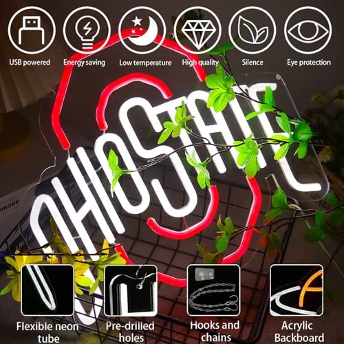 OIZEGO Red Football Neon Sign for Bedroom, Dorm, Man Cave, 13.4x12.2 in, USB Powered