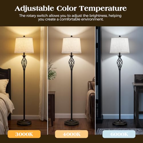 Black Farmhouse Spiral Cage Floor Lamp - 62 Inch Standing Living Room Light