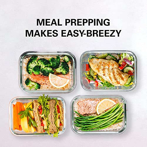 Razab 16 Pc Glass Meal Prep Containers Set with Blue Lids - Airtight & Reusable