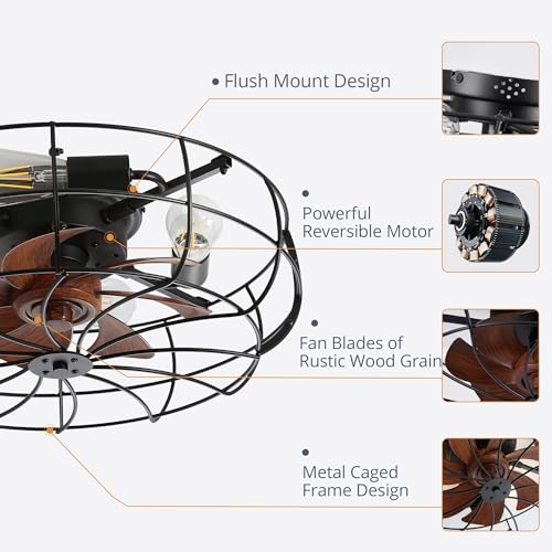 20-Inch Black Caged Farmhouse Ceiling Fan with Lights & Remote Control
