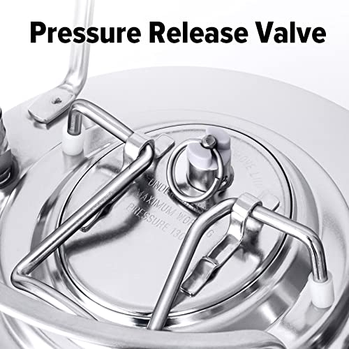 1.6 Gallon Stainless Steel Home Brew Mini Keg with Ball Lock Quick Disconnect Set
