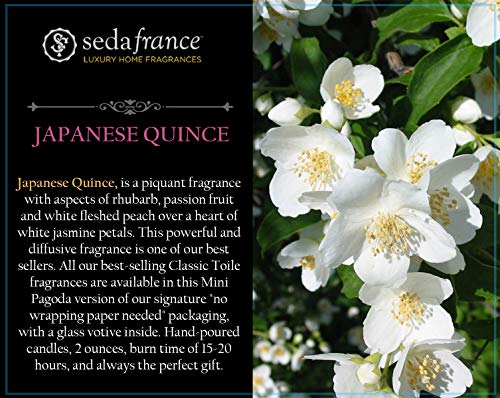 Seda France Japanese Quince Candle - Peach Scent, 10 oz, Long Burn Time