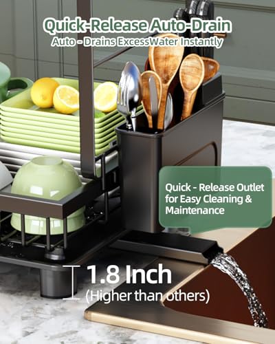 Nfnoyp Black 2-Tier Dish Drying Rack for Kitchen Counter - Space Saver