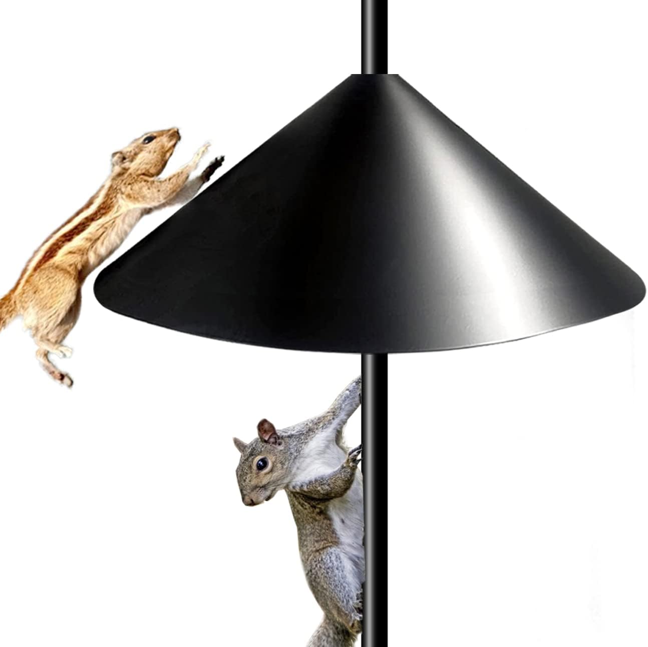 Skiennix 19-Inch Squirrel Proof Baffle - Protect Bird Feeders & Houses | Black, 1 Pack