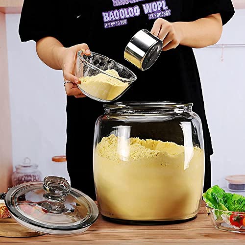 Large 2.5 Gallon Glass Storage Jar with Wide Mouth and Lid - Food & Kitchen