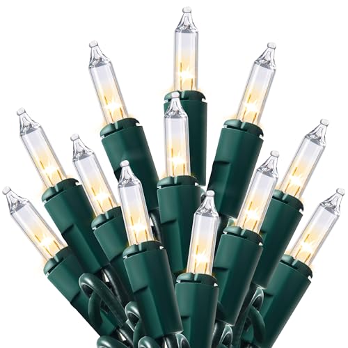 Joiedomi Clear Christmas String Lights Indoor,100 Count Mini Warm White Fairy Light,19.4 FT Lighting Decor for Patio Dorm Classroom Bedroom Holiday Wedding Party Garland Birthday Festival,Green Wire