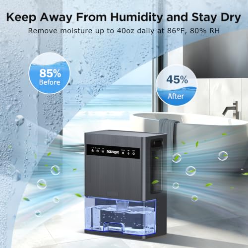 Black 106oz Large Capacity Home Dehumidifier for 1000 Sq. Ft. Space