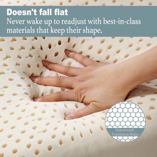 JOTOM Standard Mid Loft 100% Natural Talalay Latex Pillow for Side & Back Sleepers
