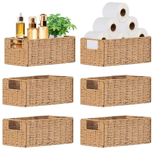 Beige Small Wicker Storage Baskets with Handles - Set of 6