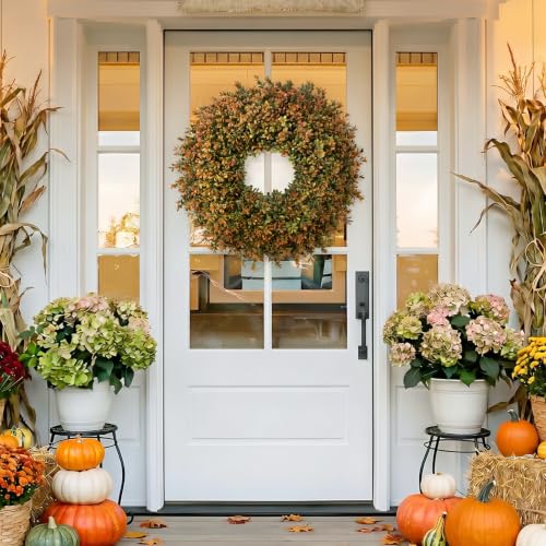 Waipfaru 26-Inch Fall Boxwood Wreath for Front Door Decor, Orange-Green - 1 Piece