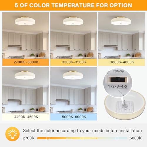 15.74 Inch Dimmable LED Ceiling Light Fixture, Cream White, 5 CCT, Modern Design
