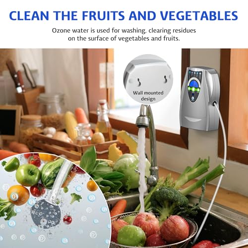 Ozone Generator Purifier for Air Water Fruits Vegetables - Silver