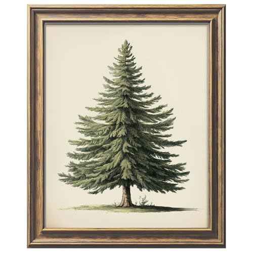 Vintage Christmas Tree Print, Pine Tree Vintage Print, Winter Holidays Wall Art, Farmhouse Christmas Poster, Botanical Winter Art, Christmas Tree Wall Decor, Unframed (11x14inch Print, Christmas Tree)