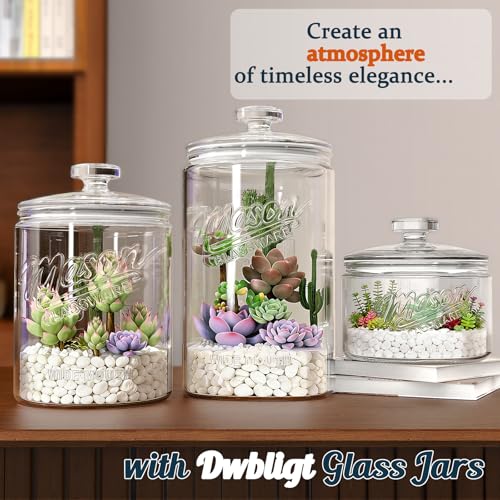 1 Gallon Glass Cookie Jar with Airtight Lid - Food Storage for Sourdough & Baking - Variation of THIS listing