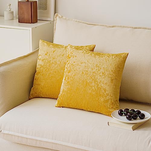 NiNi ALL Gold Velvet 22x22 Pillow Covers (Pack of 2) Decorative Cushions for Couch
