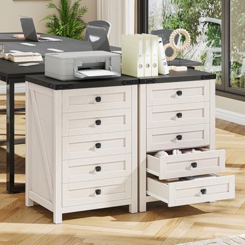 Farmhouse Style 5-Drawer Small File Cabinet - Rustic White & Black, 15.75 x 18.11 x 27.76 inches
