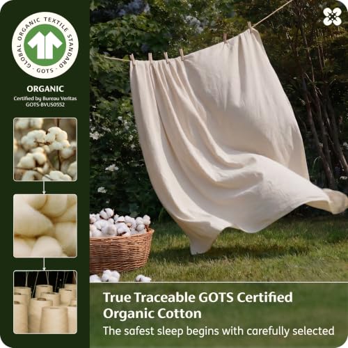 Linen Queen Size Organic Cotton Sheets - GOTS Certified, 300 TC, Soft & Breathable