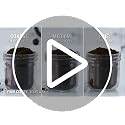 KRUPS Coffee Grinder 12 Settings, 8oz Capacity, Auto-Stop, Easy Clean - Black + Silver