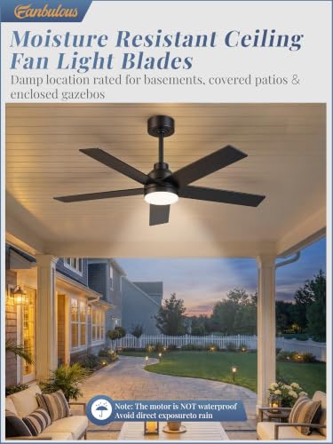 Large Ceiling Fan with Lights - 48 Inch Black Remote-Controlled Modern Fan