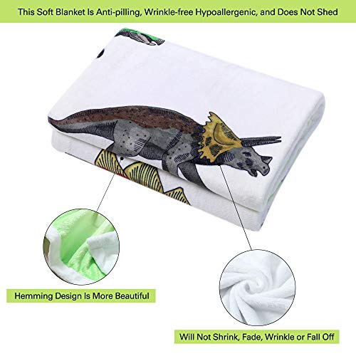 Dinosaur Blanket Dino Throw Blankets for Boys Soft Flannel Dinosaurs Gifts for Dinosaur Lover Kids Blankets and Throws (Dinosaur1,50" X 60")