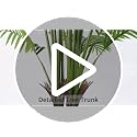 7ft Artificial Palm Tree with White Tall Planter, Lifelike Indoor Outdoor Decor