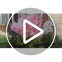 50 Pieces White Simulated Cherry Blossom Branches - Realistic Faux Floral Décor