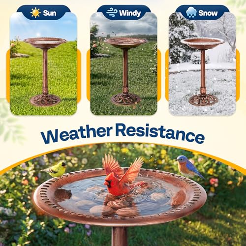 Bird Bath Outdoor Pedestal with Antique Bronze Finish - Durable Polyresin