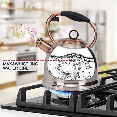 Silver Whistling Stovetop Tea Kettle 3.0 Qt Food Grade Stainless Steel - Fast Boil