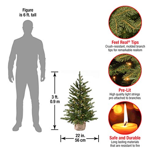 3ft Pre-Lit Nordic Spruce Mini Christmas Tree - Feel Real Artificial Holiday Tree