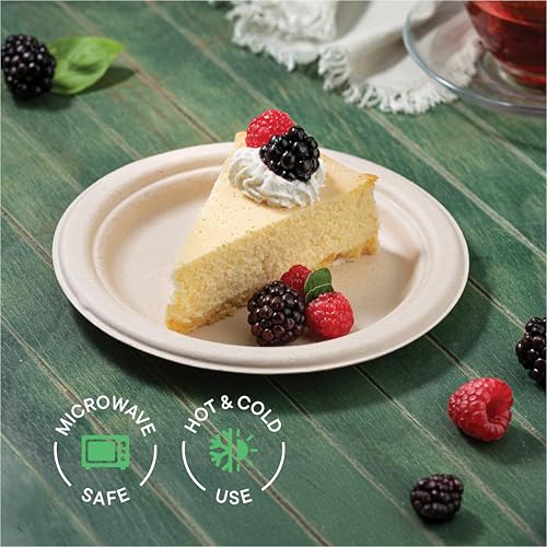9 Inch Compostable Paper Plates - 500 Pack Heavy-Duty Biodegradable Sugarcane Plates - Natural Brown