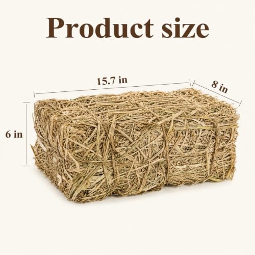 PJT Medium Natural Straw Hay Bale 16x8x6 in Fall Halloween Decor, Authentic Harvest Look