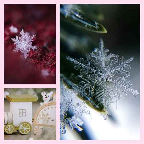 Morex Ribbon Snowflake Wired Sheer Glitter Ribbon, 2-1/2-Inch by 50-Yard Spool, Turquoise