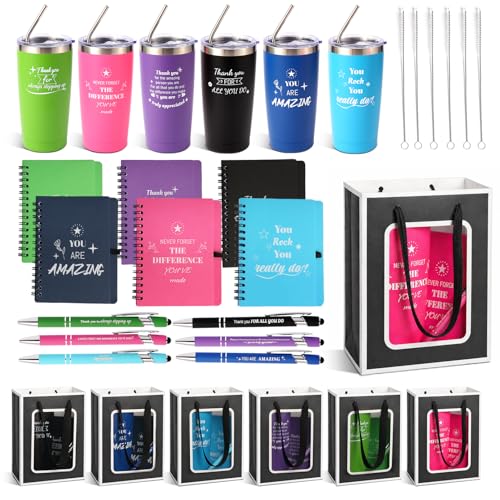 6-Pack 20 Oz Insulated Steel Tumblers with Straws & Gift Bags - Employee Appreciation Gifts