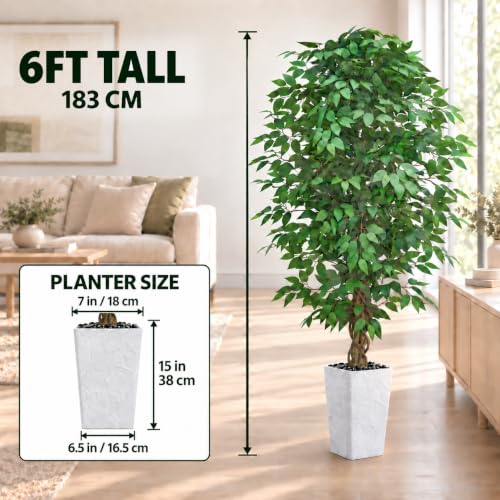 6FT Artificial Ficus Tree with White Planter - Realistic Faux Indoor Plant - Green Leaf Variation